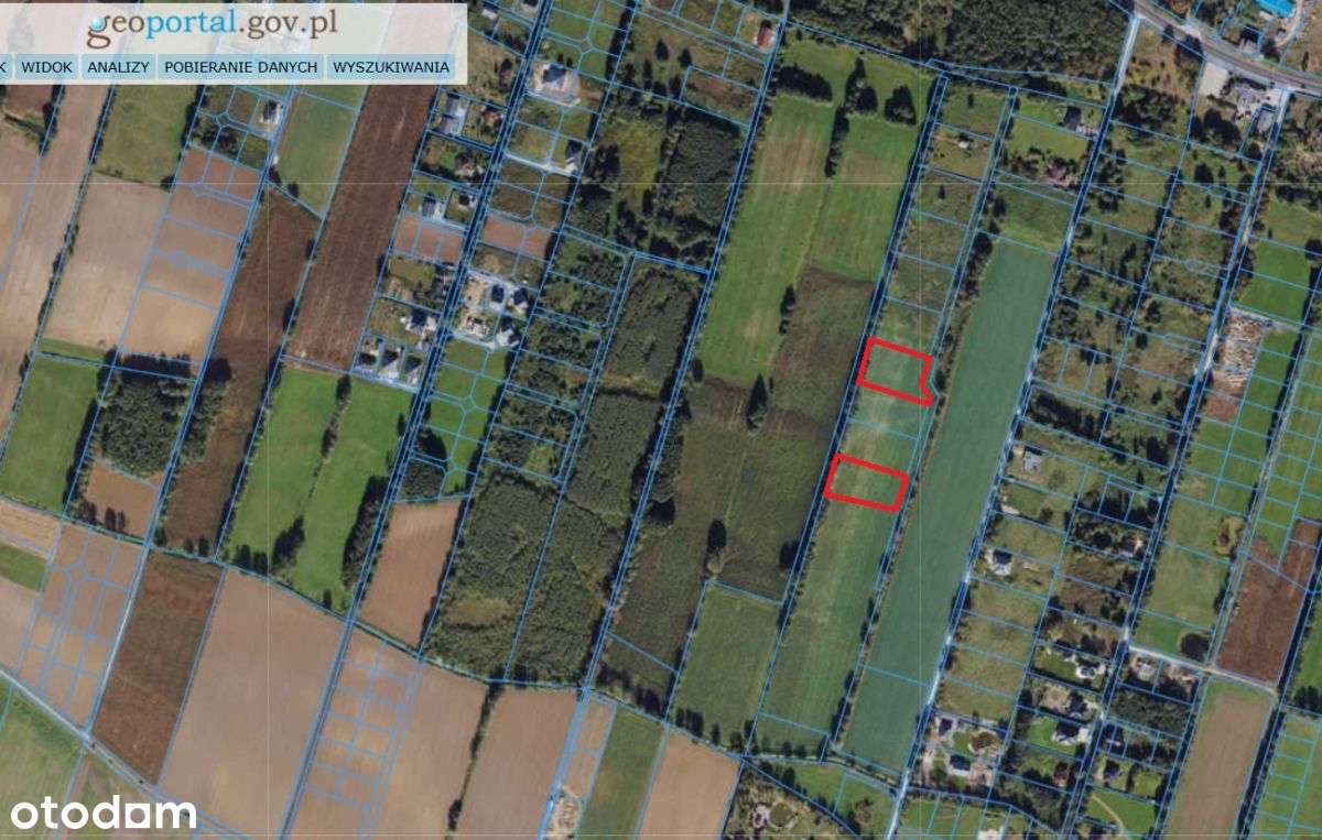 3195m2*3058m2*12minut do Torunia-15