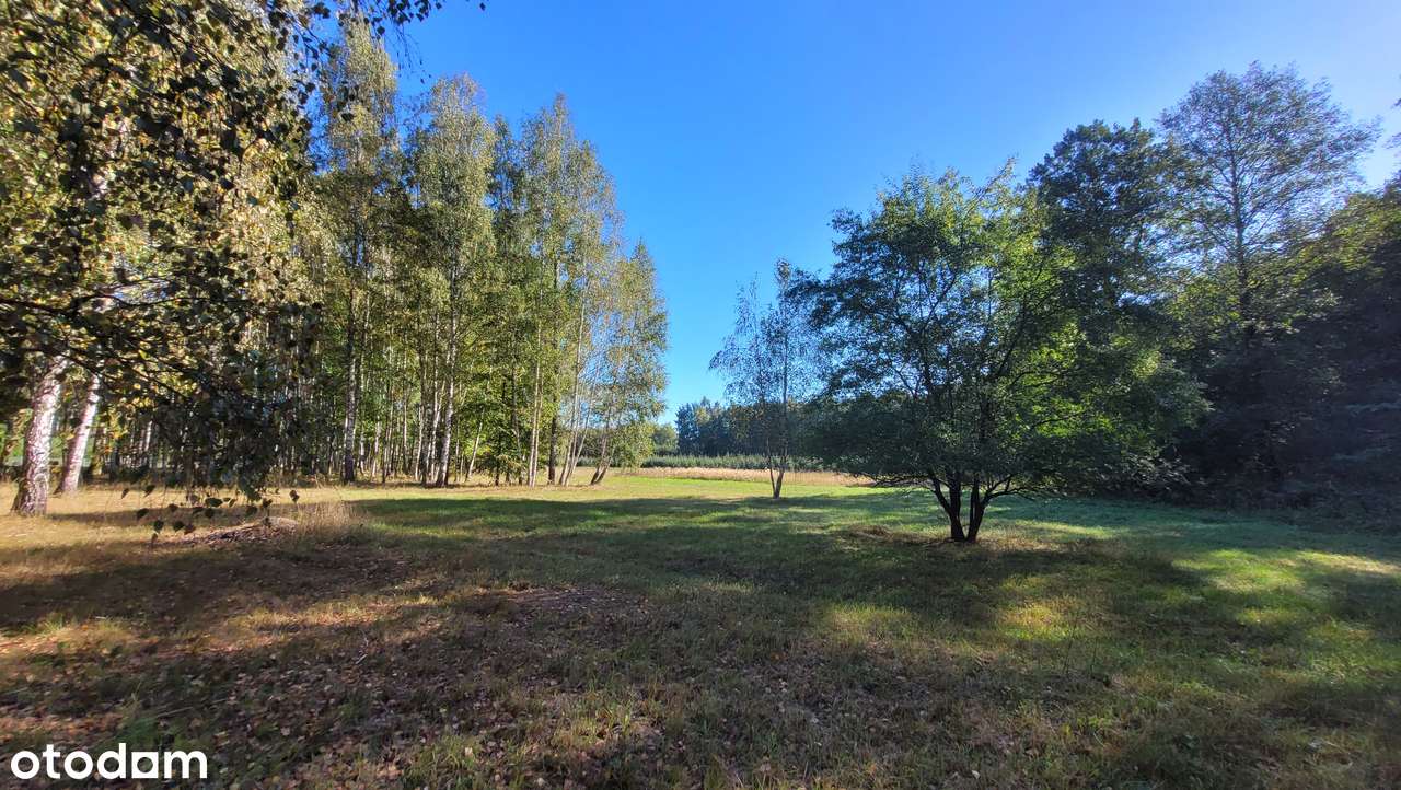 Idealna działka gotowa do budowy, blisko Żyrardowa Skierniewic Suntago - Pełny obrazek: 4/14