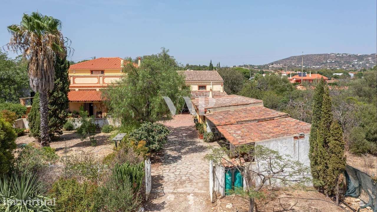 Oportunidade de construção - Terreno urbano com 4835 m2, Almancil - Grande imagem: 5/6