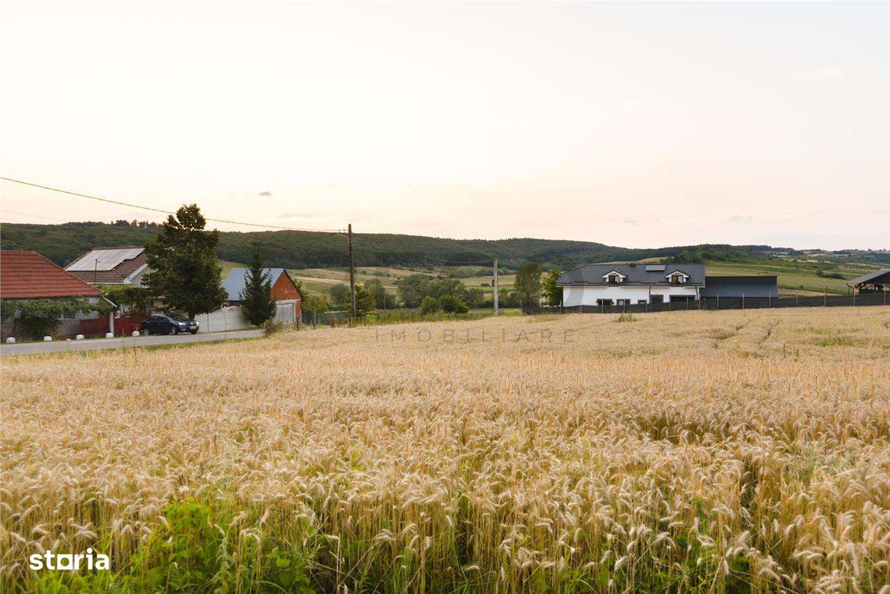 RECO Teren intravilan pentru casa  Lazareni - Imagine principală: 5/12
