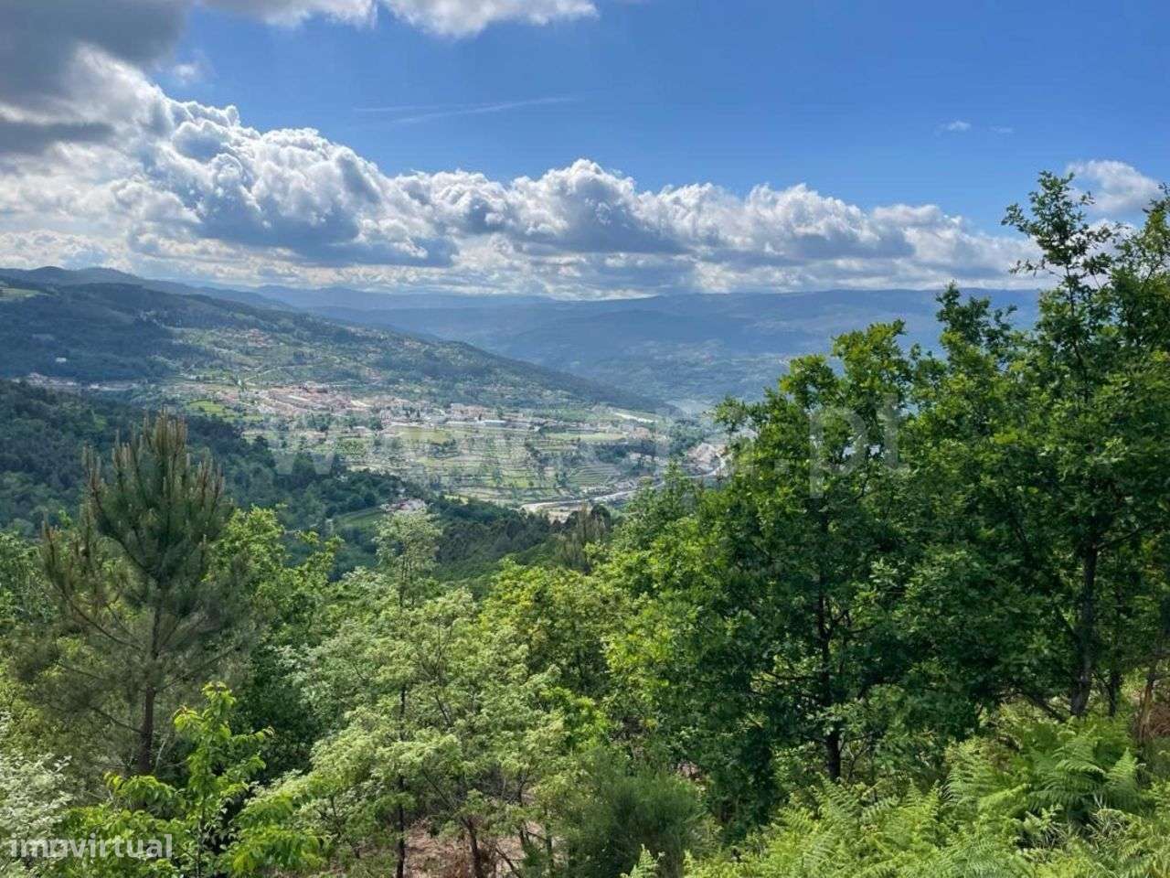 Terreno com ruína em Ribeira de Pena - Grande imagem: 4/5