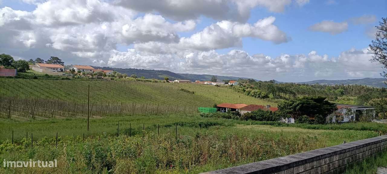 Quintinha Valado Frades Nazaré -Leiria-6