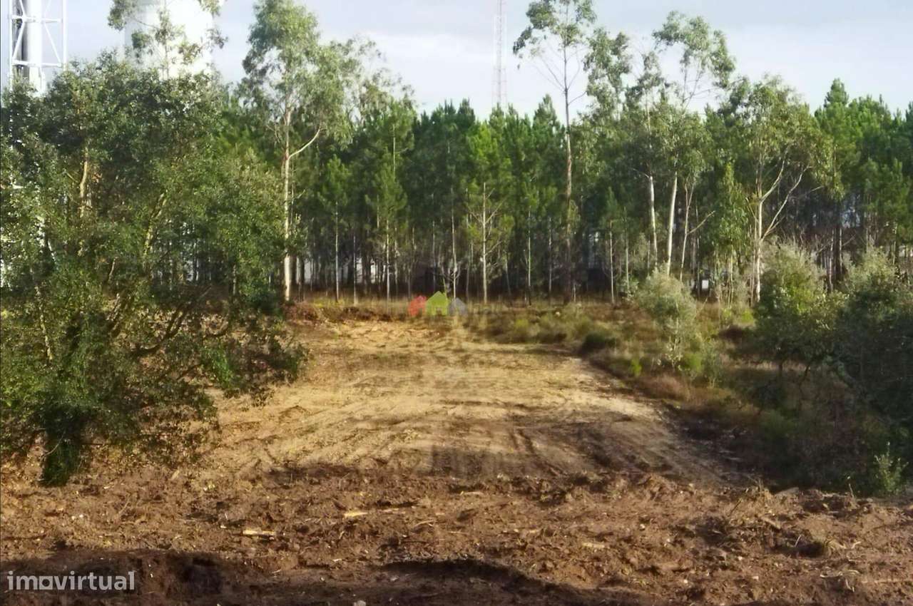 Terreno com 1.609,50 m2 com viabilidade de construção em Monte Real - - Grande imagem: 3/4