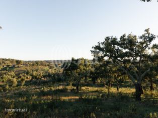 Terreno, com vista Mar e Serra, em Santiago do Cacém - Grande imagem: 5/26