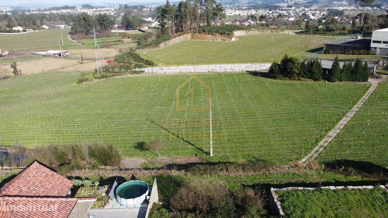 Terreno em Besteiros - Paredes - Grande imagem: 5/17