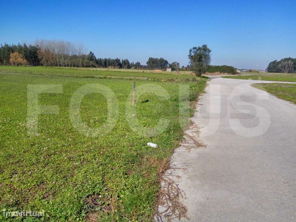 Terreno Rústico - Grande imagem: 4/5