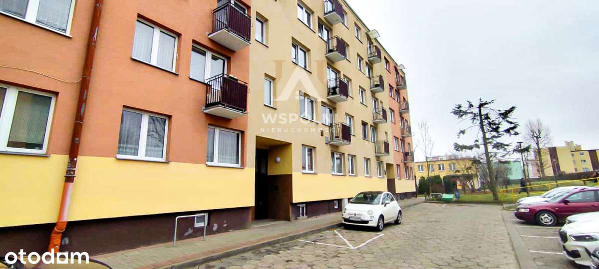 Kompaktowe 2-pokojowe mieszkanie w Tczewie - Pełny obrazek: 3/9