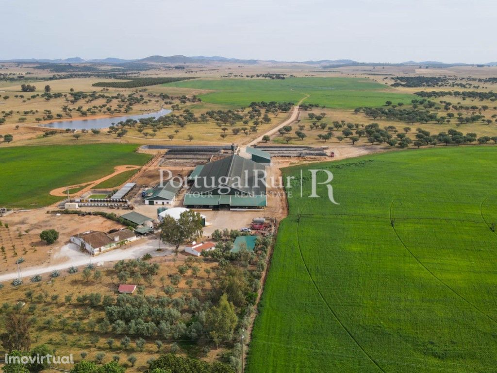 Herdade com Vacaria em Produção com 213,5 Hectares