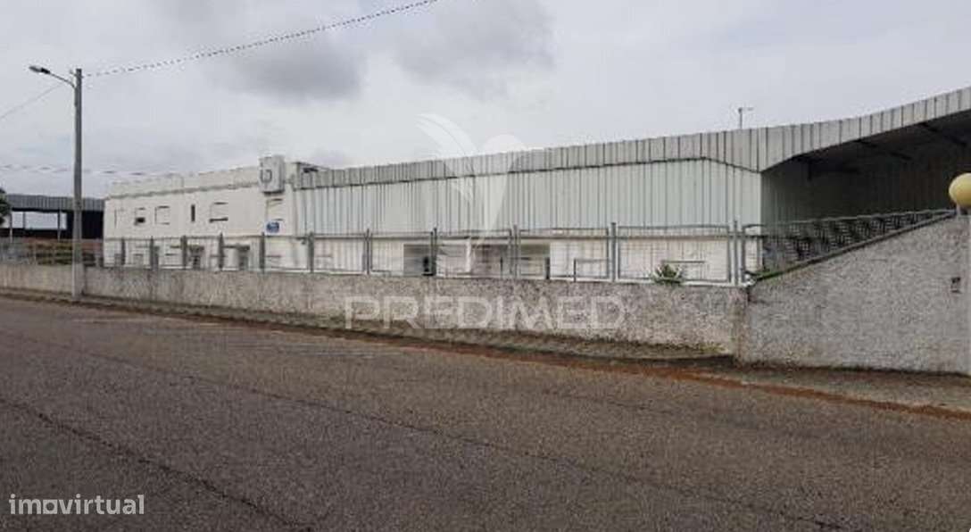 Edifício Industrial à Venda – Zona Industrial de Muge - Grande imagem: 2/22