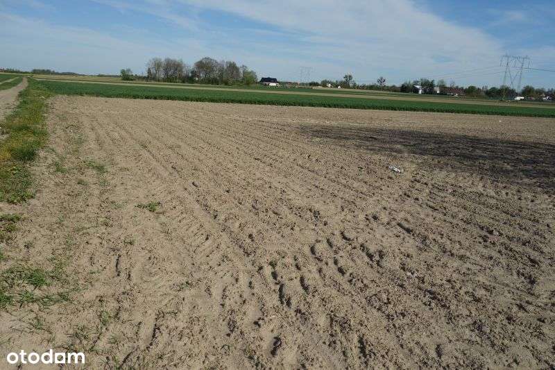 Ligota Wielka / Rola / Zabudowa Zagrodowa - Pełny obrazek: 4/4