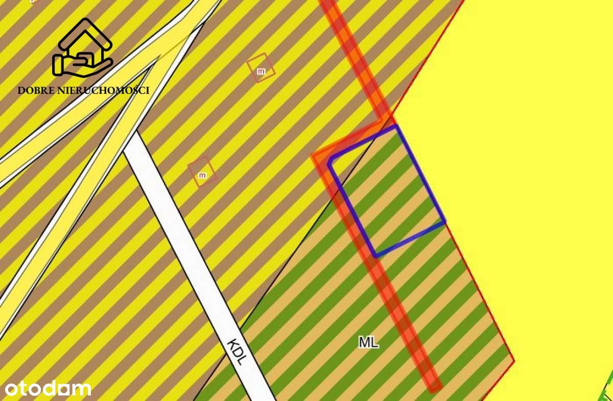 17 arów - Pryszczowa Góra - Pełny obrazek: 4/5