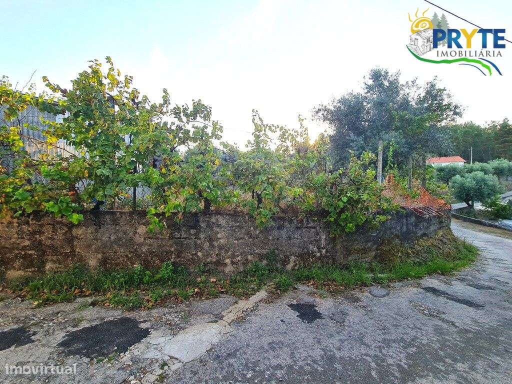 Pequena propriedade a poucos quilómetros da Sertã (Castelo Velho) - Grande imagem: 5/43