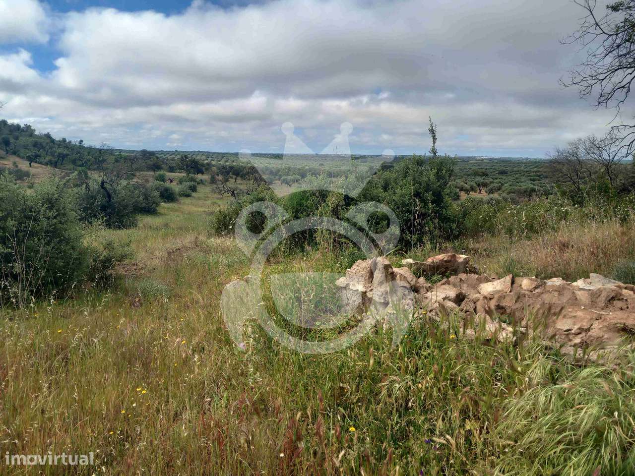 Terreno Rústico com ruína - 3Ha-7