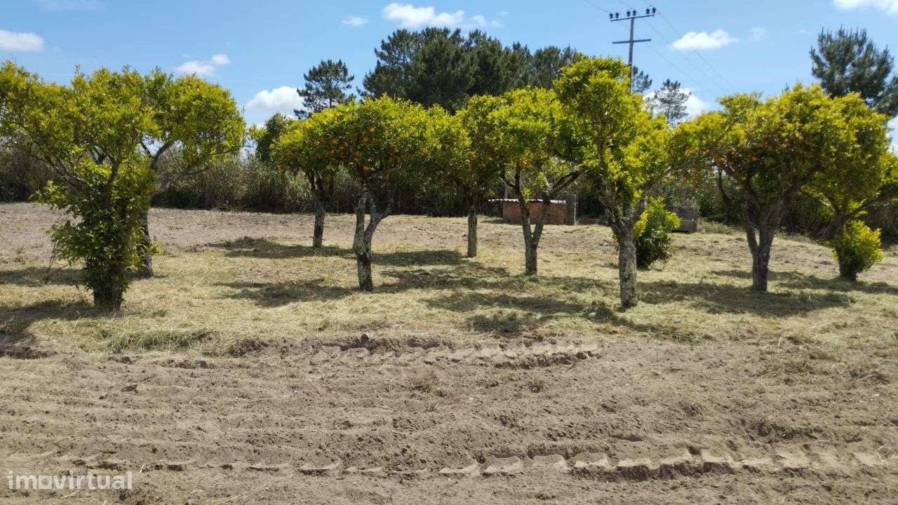 Vende-se Qintinha em Vendas Novas-8