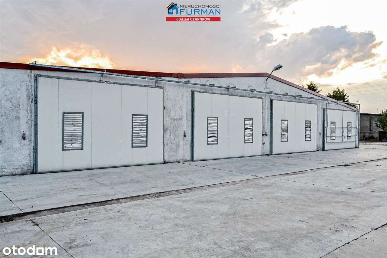 Hala pod handel, usługi, magazyny lub produkcję - Pełny obrazek: 4/12