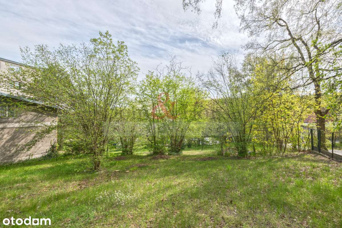 Sopot Piękna działka z domem - Pełny obrazek: 3/16