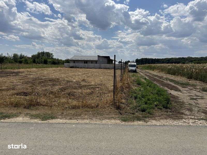 Vanzare teren Domnesti/Teghes - Imagine principală: 5/7