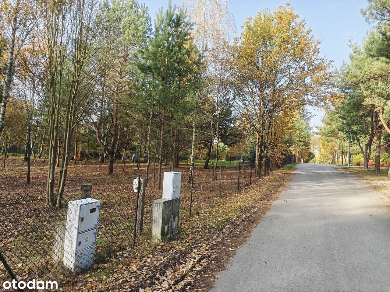 Działka w Starych Skoszewach pod Twój wymarzony DOM - Pełny obrazek: 5/10