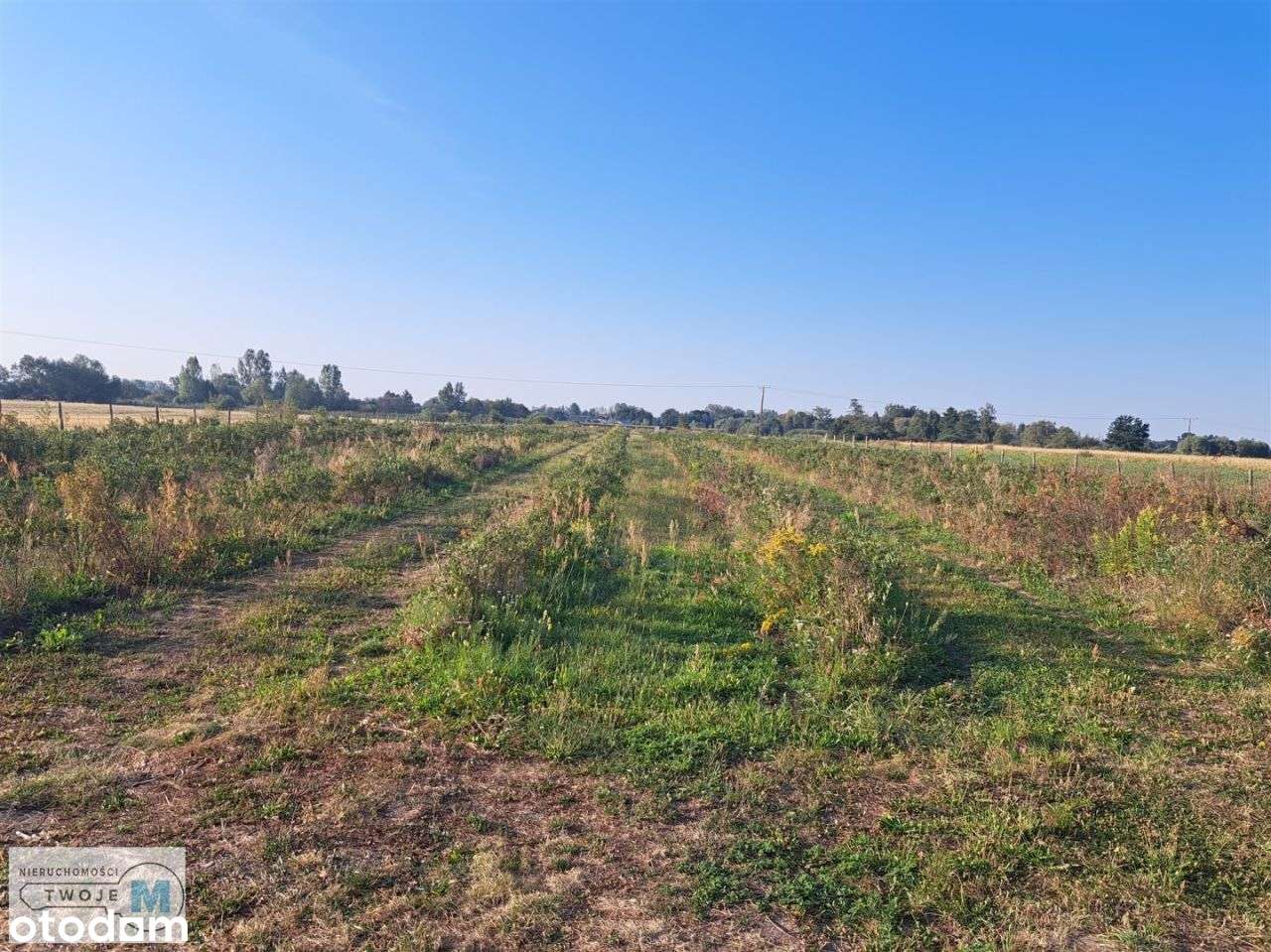 Działka rolno-bud. w terenach upraw sadowniczych! - Pełny obrazek: 1/4