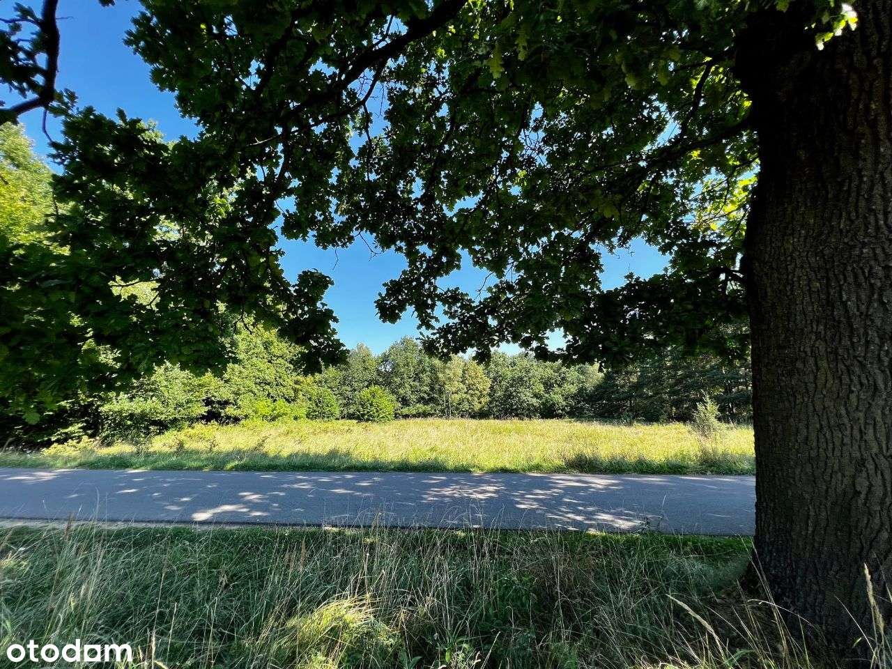 Działka Aleja Dębowa Kalety - Pełny obrazek: 5/12