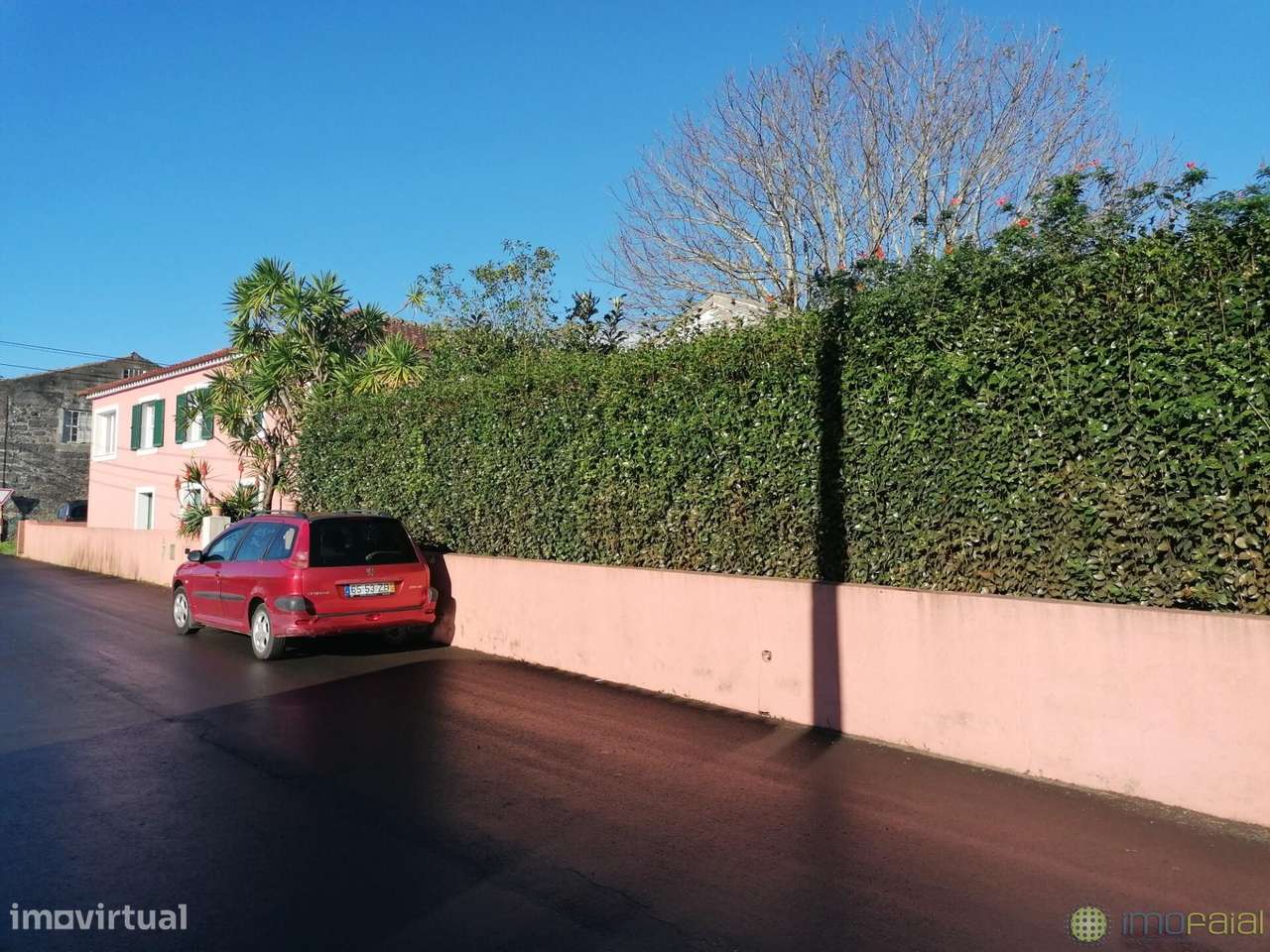 T3 c/Marquise| Flamengos-5