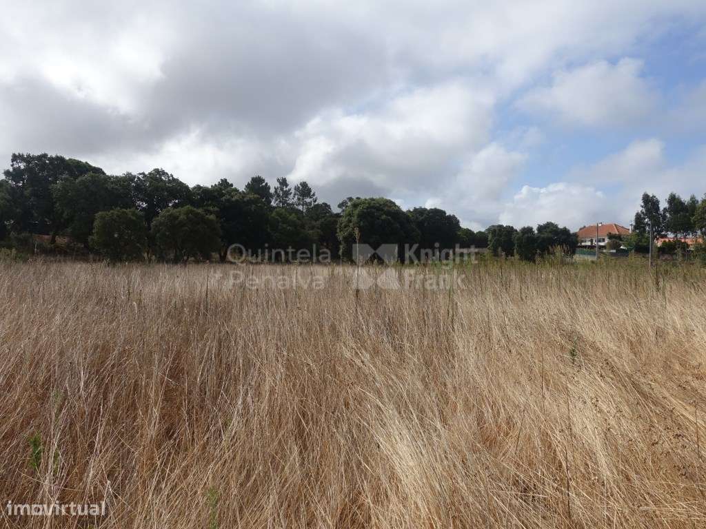 Terreno no Nadadouro, lote de 2220 m² , em Óbidos - Grande imagem: 4/14