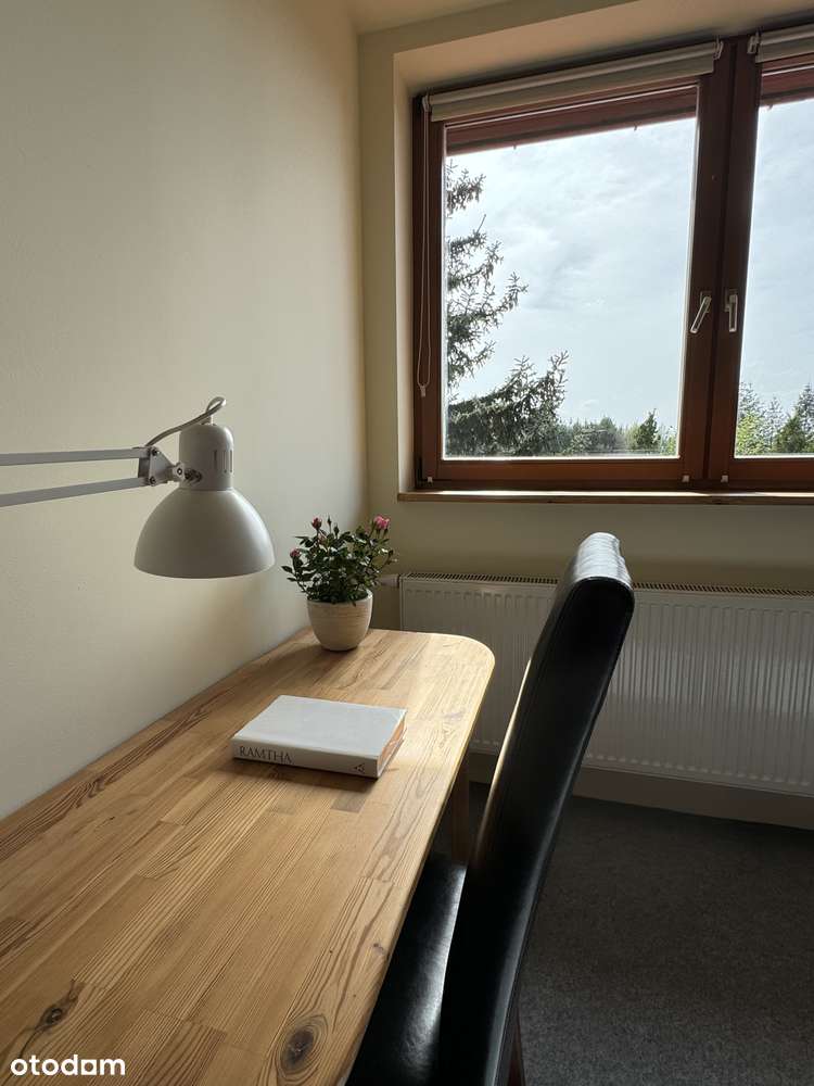 Urokliwa nieruchomość w gminie Radziejowice-12