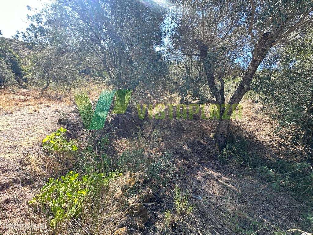 Terreno Rustico em Ladeira da Cumeada, Messines - Grande imagem: 4/16
