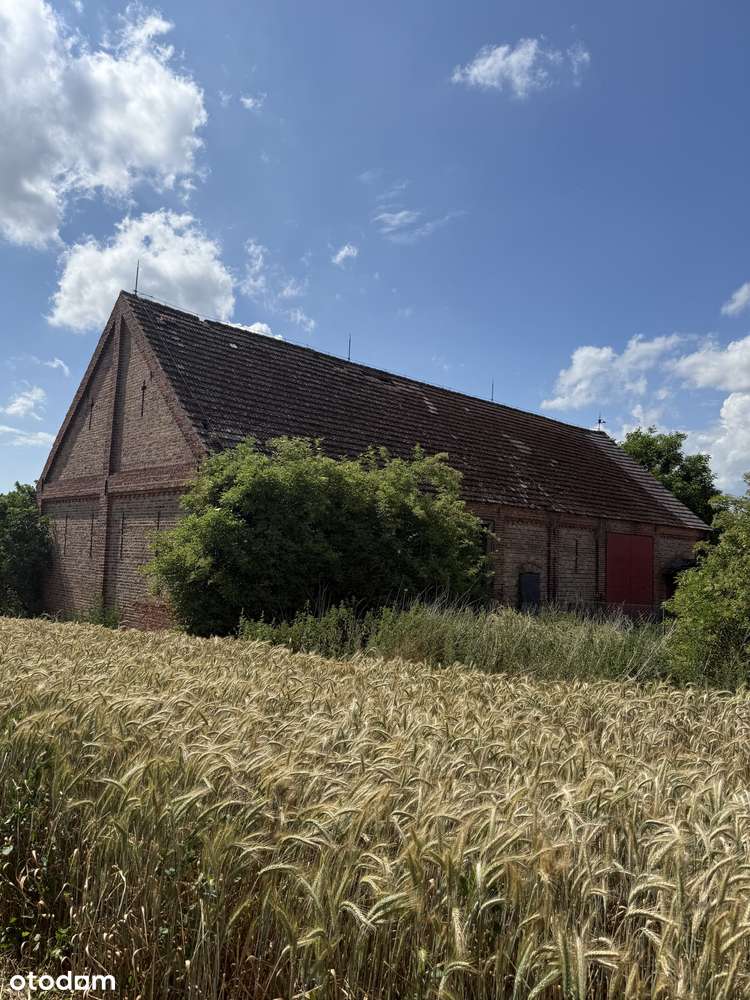 Działka z ogromnym potencjałem inwestycyjnym, WZ na 6 domów. Trzebów - Pełny obrazek: 3/5