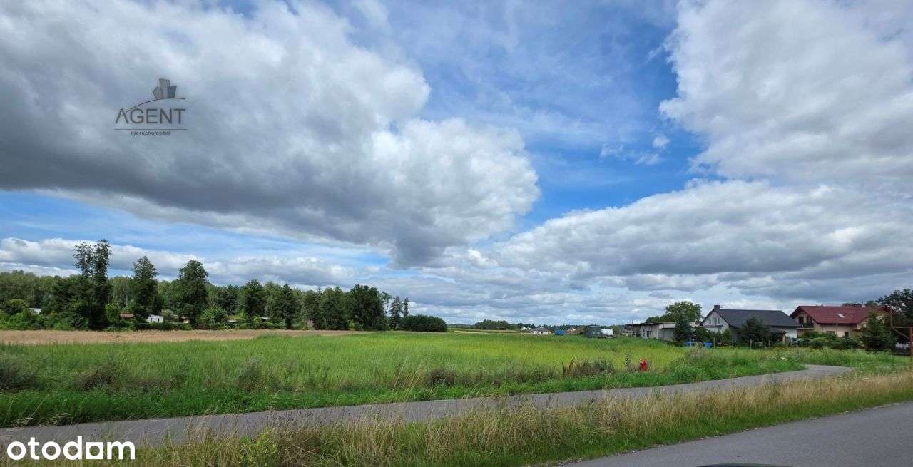 Działki/Nekla Jedna? lub komplet?-1