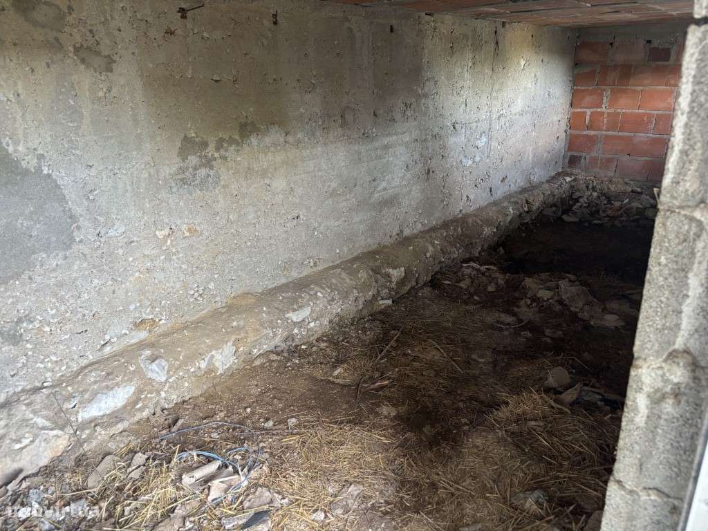 Vendese Quinta com Casa T4, Adega, Lagar e Terreno com Árvores de F...-43