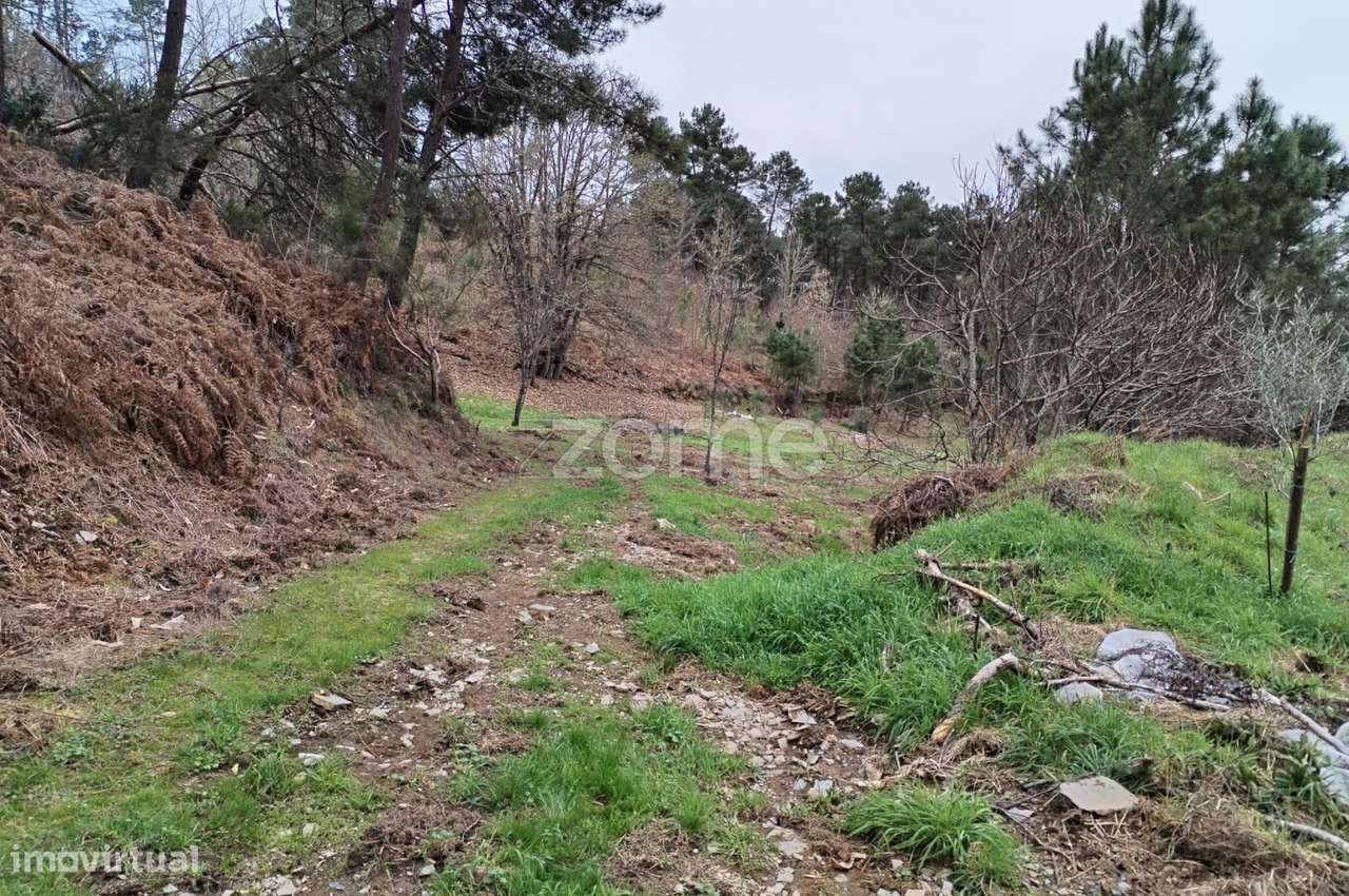 Terreno agricola e florestal. - Grande imagem: 4/34