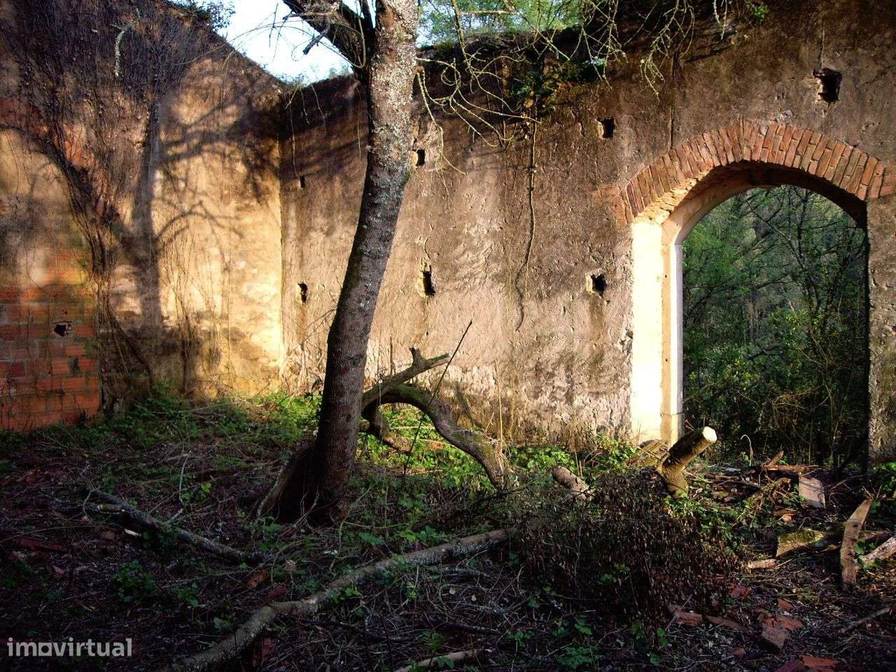 Quinta do Conventinho - Óbidos-5