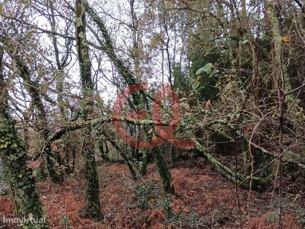 Terreno com PIP aprovado - Amonde, Viana do Castelo - Grande imagem: 5/8