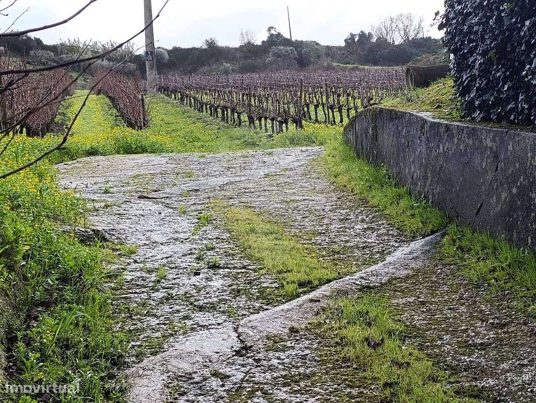 Terreno  para venda - Grande imagem: 5/5