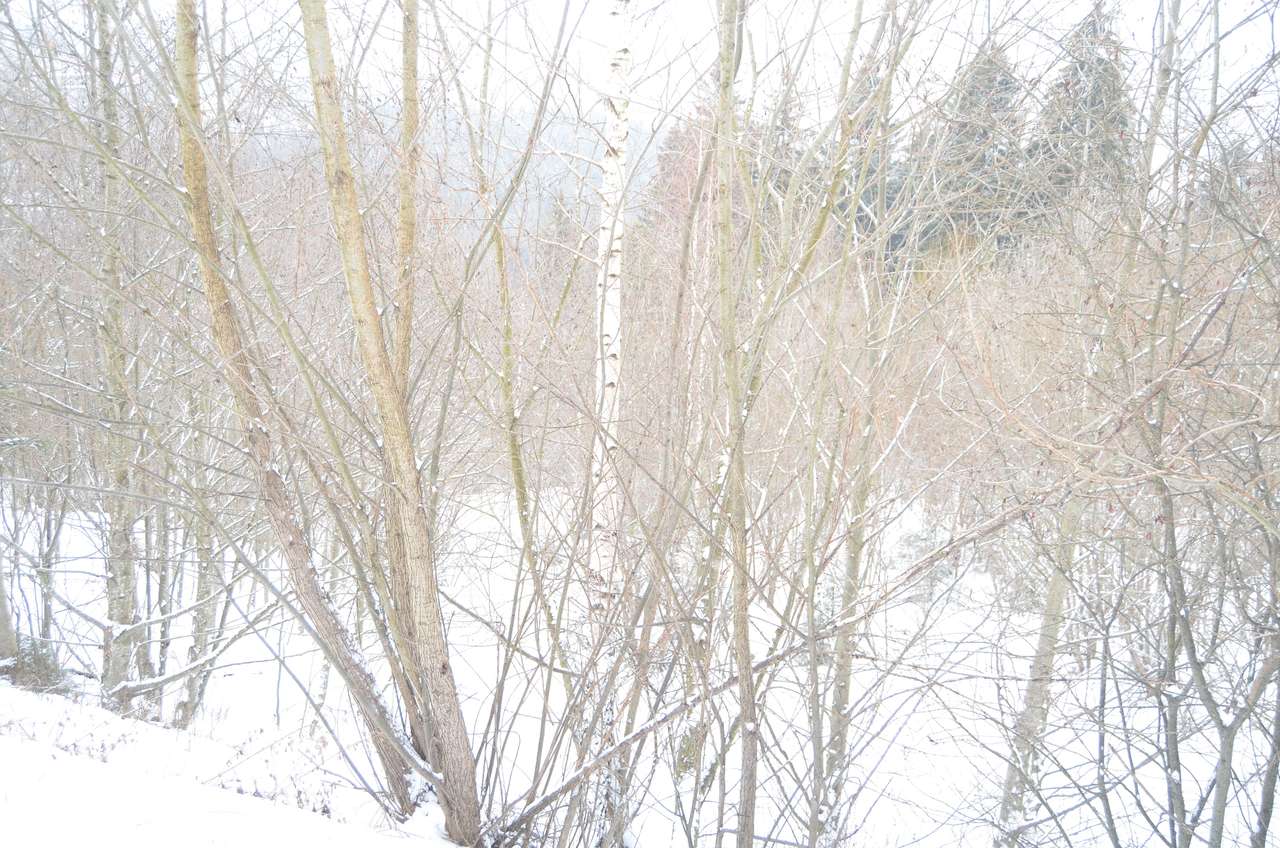 Teren intravilan situat in Predeal-3