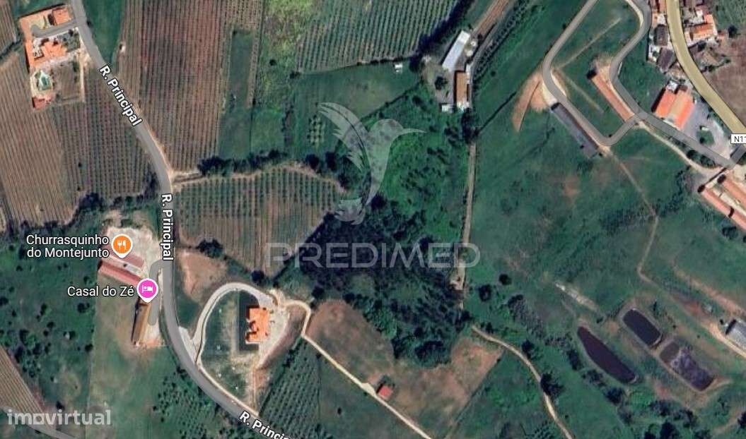 Terreno Rústico com 2,48ha no Cadaval - Grande imagem: 3/3