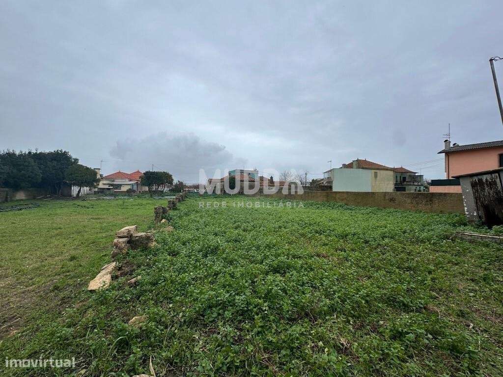 Terreno Rústico, com viabilidade de construção, Murtosa - Grande imagem: 5/8