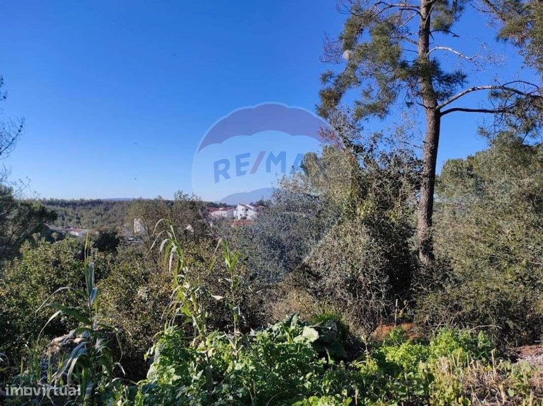 Terreno  para venda - Grande imagem: 4/10