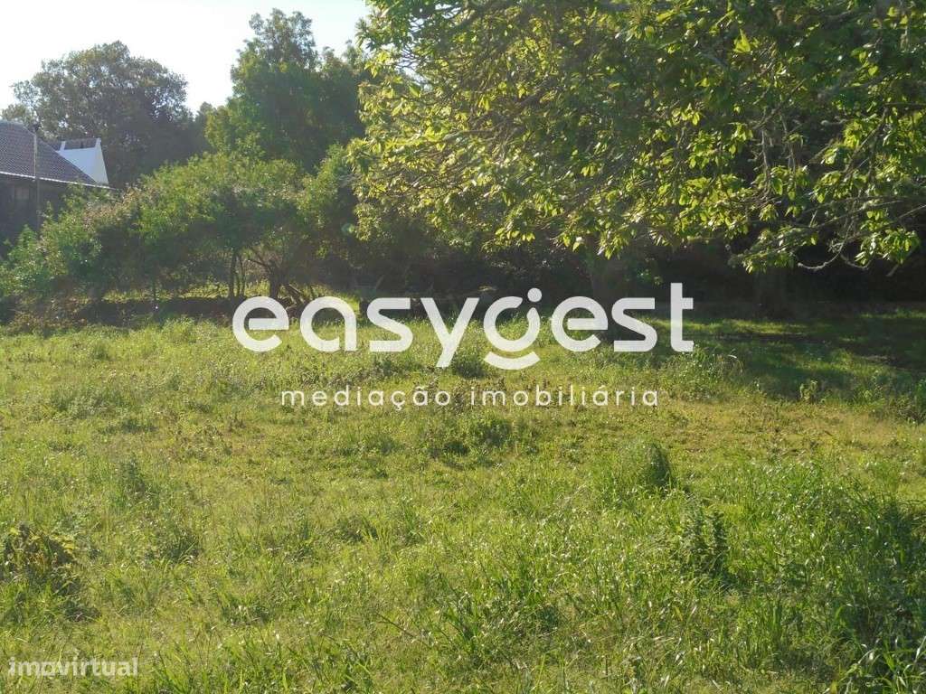 Terreno de terra lavradia e Pomar de 12 Alqueires / Terra-Chã - Grande imagem: 4/32