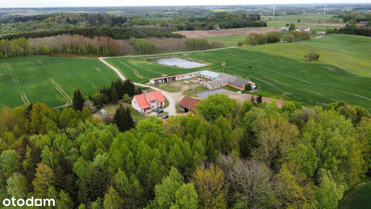 Klimatyczne siedlisko na mazurach ze stawem - Pełny obrazek: 3/20