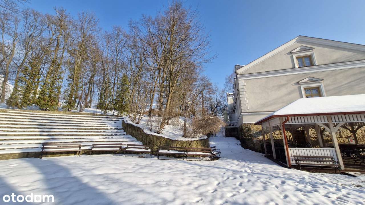 Przepiękny Pałac Tarnowskich czeka na nabywcę.-16