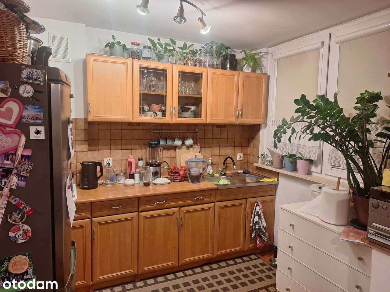 Słoneczne mieszkanie na parterze-3