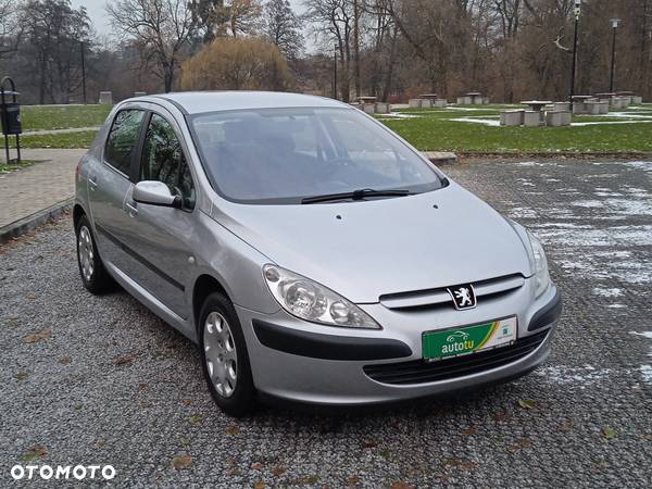 Peugeot 307 1.6 Premium - 35