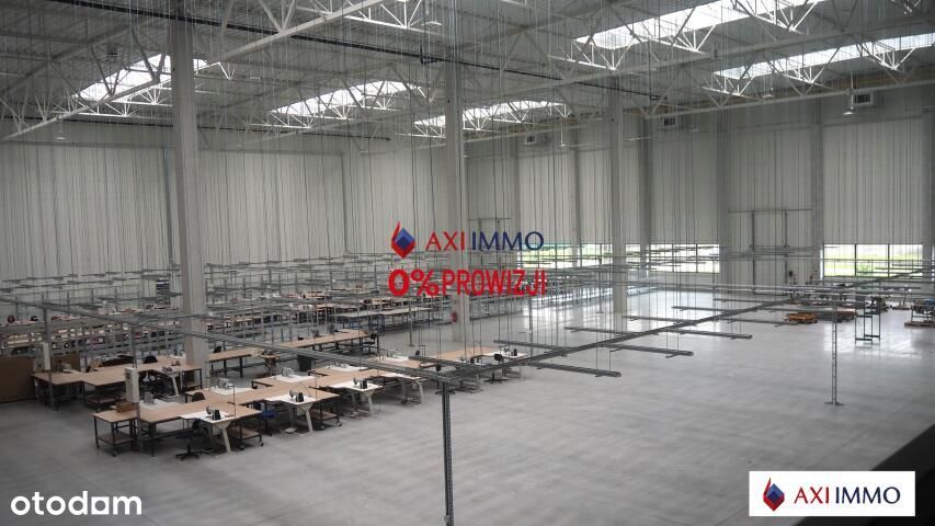 Magazyn pod produkcję 10.000 m2 Łódź Górna - Pełny obrazek: 1/6