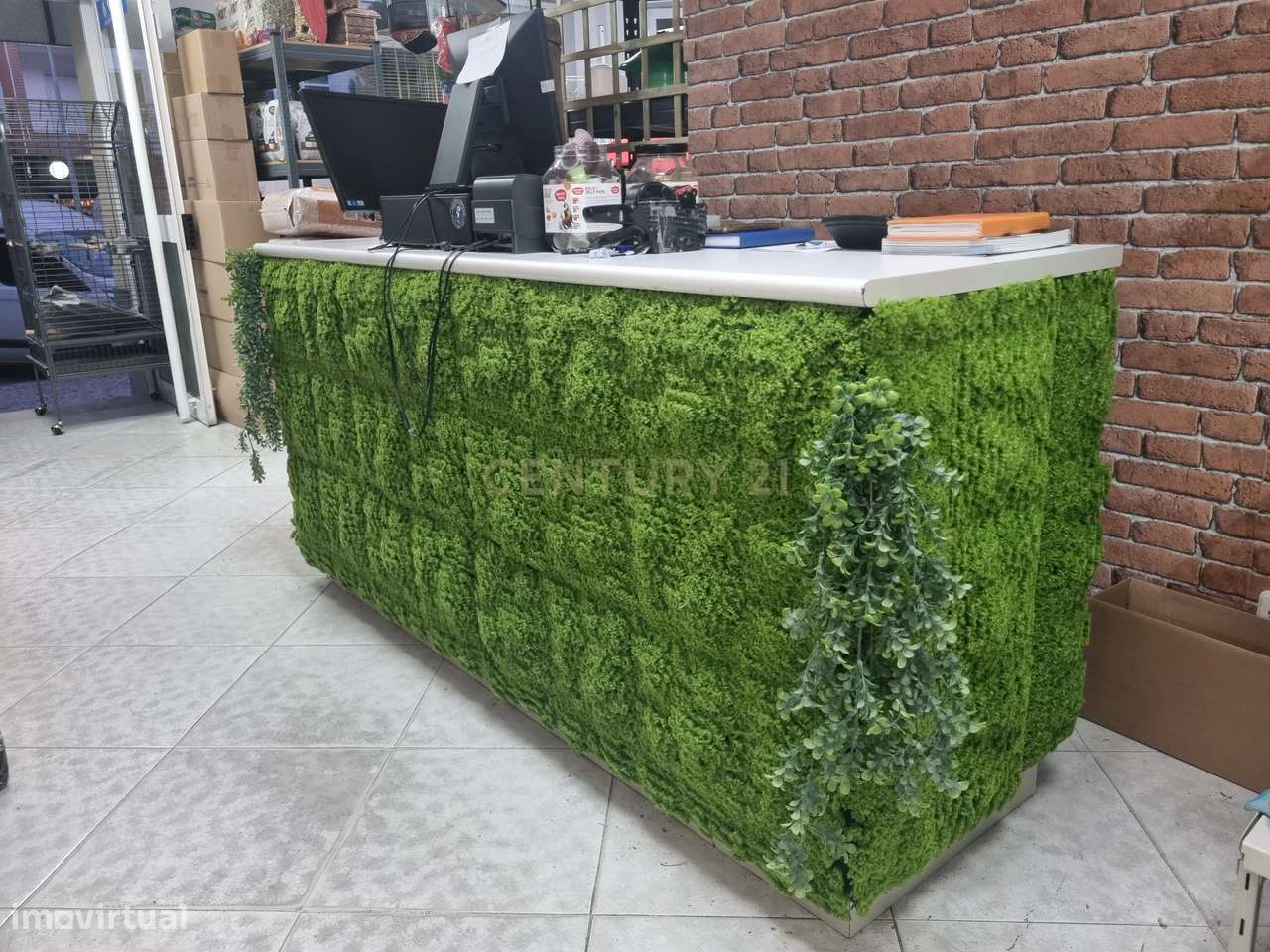 Trespasse de Loja de Animais - Grande imagem: 5/19