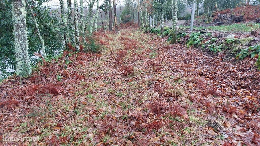 Terreno rústico - Agra, Rossas-6