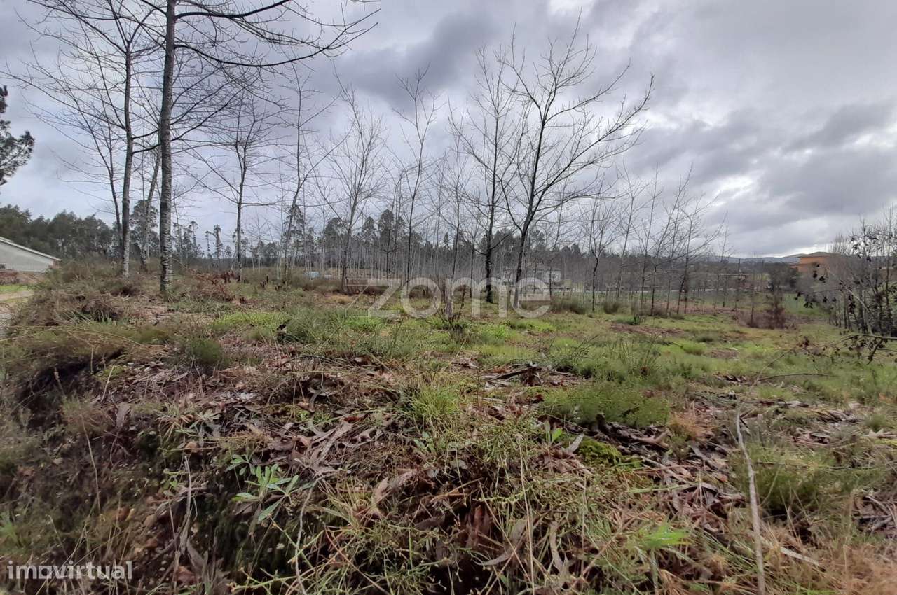 Terreno para construção com 5400m2 - Grande imagem: 4/18