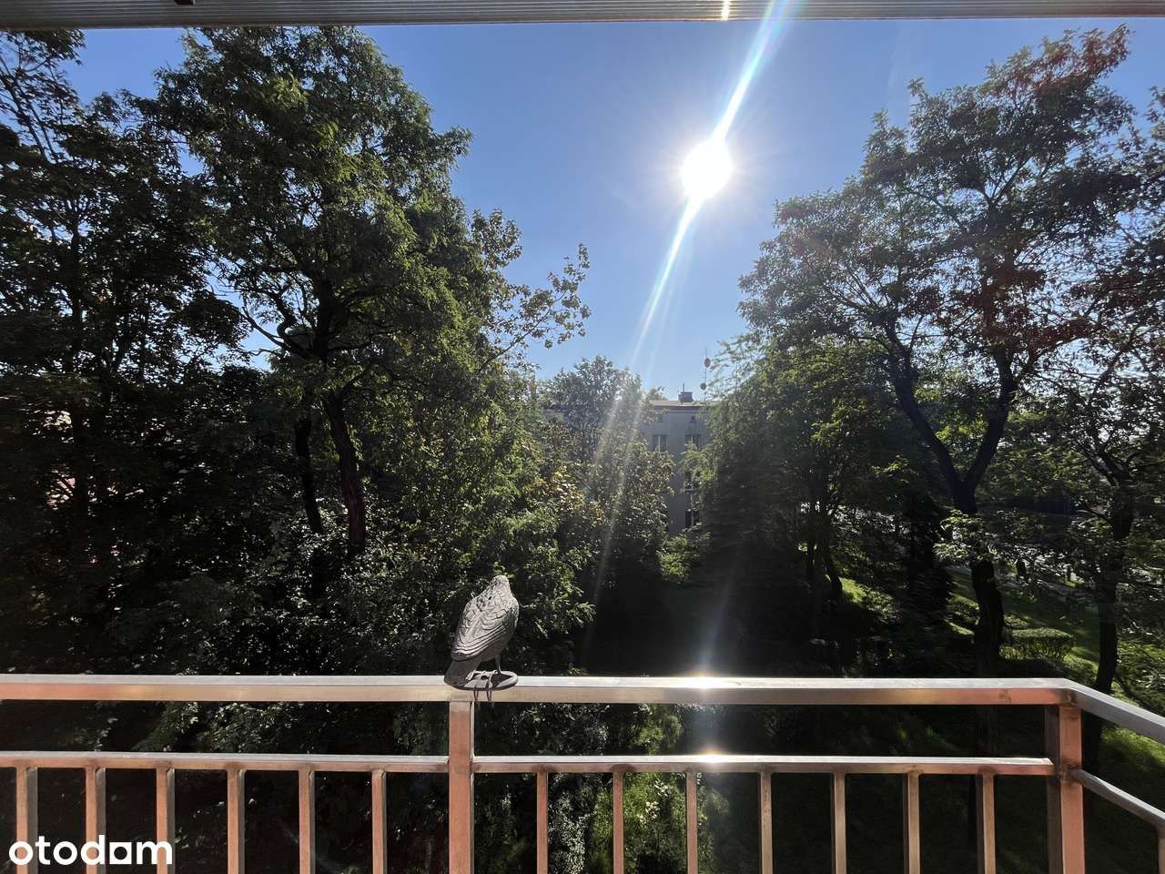 2 pokoje / Nowy Bytom / Balkon / Do remontu - Pełny obrazek: 5/19