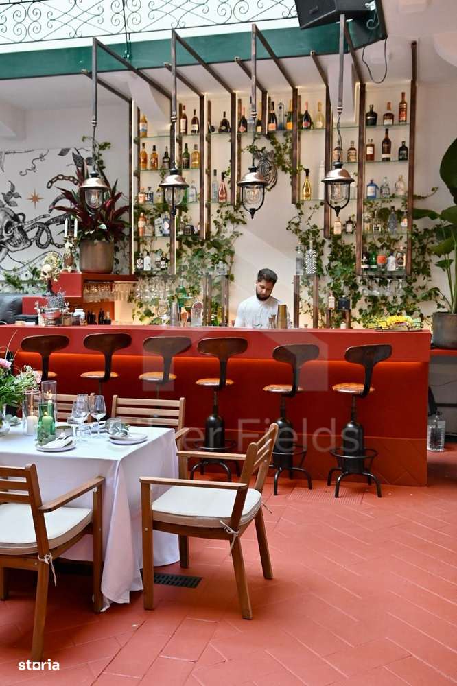Se vinde sau închiriază Bar-Restaurant la cheie | Piata Unirii-15